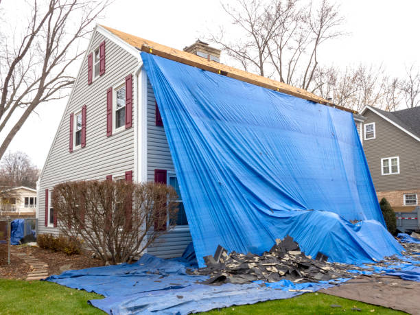 Best Storm Damage Siding Repair  in Grand Bay, AL
