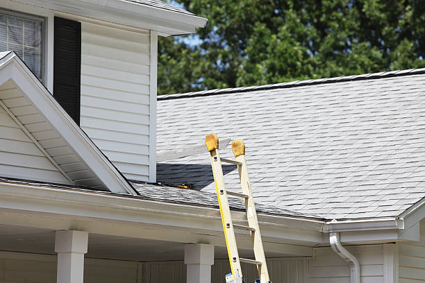 Best Historical Building Siding Restoration  in Grand Bay, AL