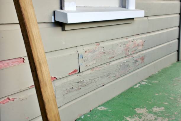 Best Siding for New Construction  in Grand Bay, AL