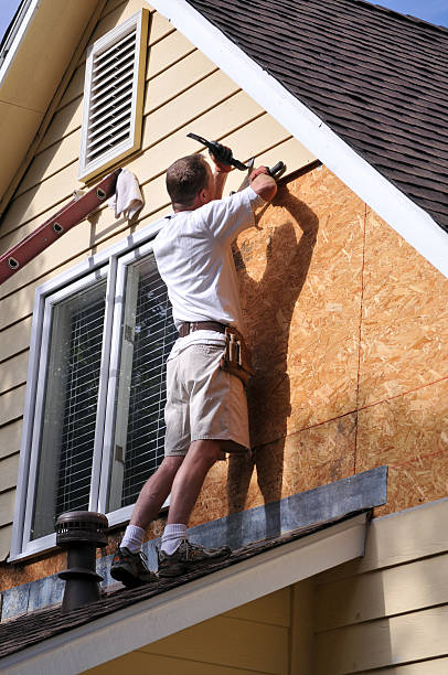 Best Siding Painting and Refinishing  in Grand Bay, AL