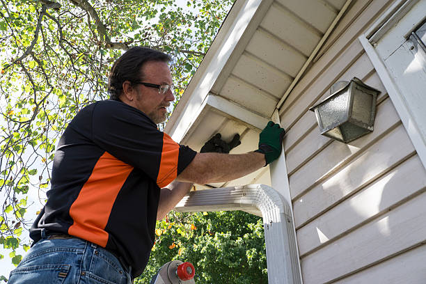 Best Engineered Wood Siding  in Grand Bay, AL